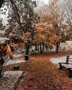 late fall | Explore Tumblr Posts and Blogs | Tumgir