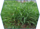 0300m40d-0a53-138x101.png