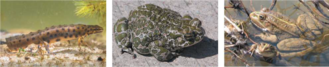 0300m4k2-25ce-329x67.png