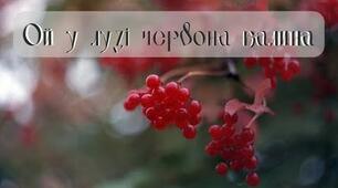 23 квiтня 2022 року. День англійської мови. Всесвітній день книги