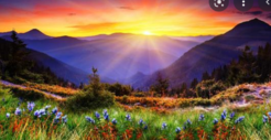 0300m6lg-083c-246x127.png