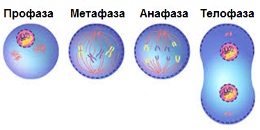 0300mbgu-c386-374x187.png