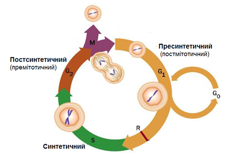 0300mbh7-f765-448x315.png
