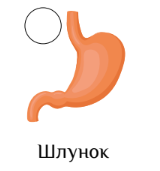 0300mcvz-0396-160x171.png