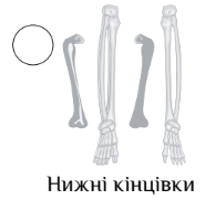 0300mcw4-64de-195x190.png