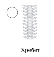 0300mcw7-6896-181x191.png