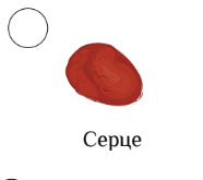 0300mcws-aee7-186x165.png