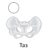 0300mcx6-a715-178x189.png