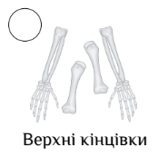 0300mcy6-fef1-185x184.png