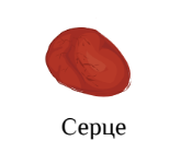 0300mcza-f34d-165x139.png