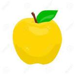Yellow Sweet Juicy Apple Vector Illustration Royalty Free Cliparts, Vectors, And Stock Illustration. Image 63066843.