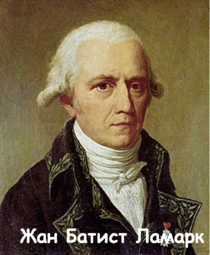 0300mdi8-8e00-498x604.png