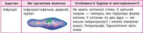 0300mdvp-7850-479x113.jpg