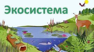 Екосистема.