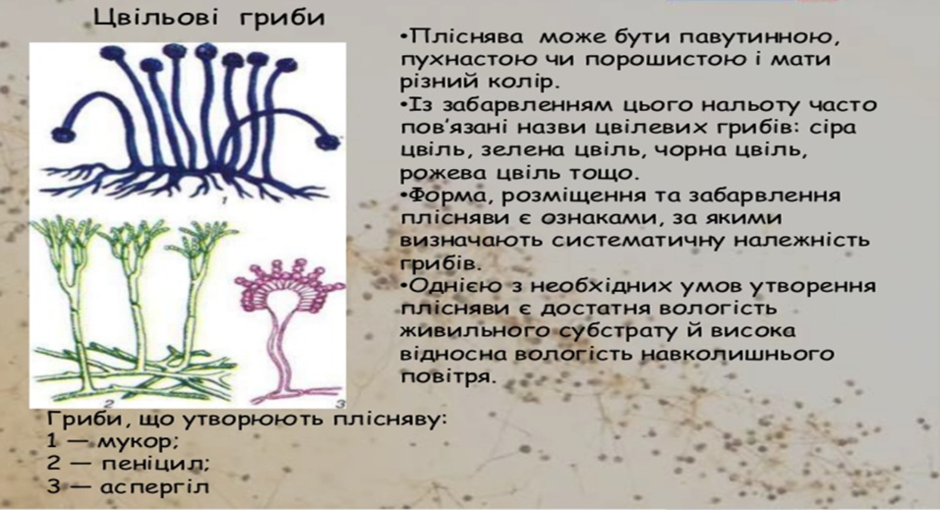 0300mhiy-d870-940x510.png