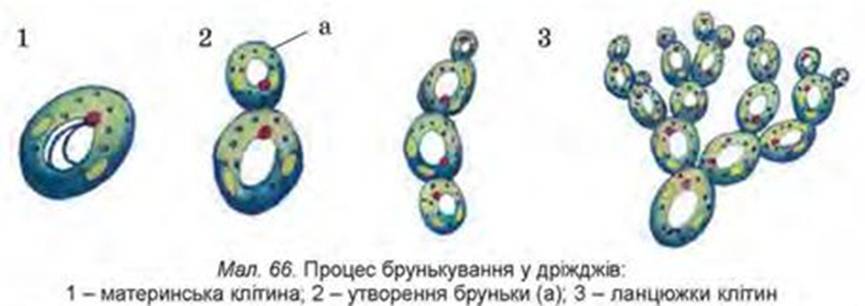 0300mhnc-4659-865x306.png