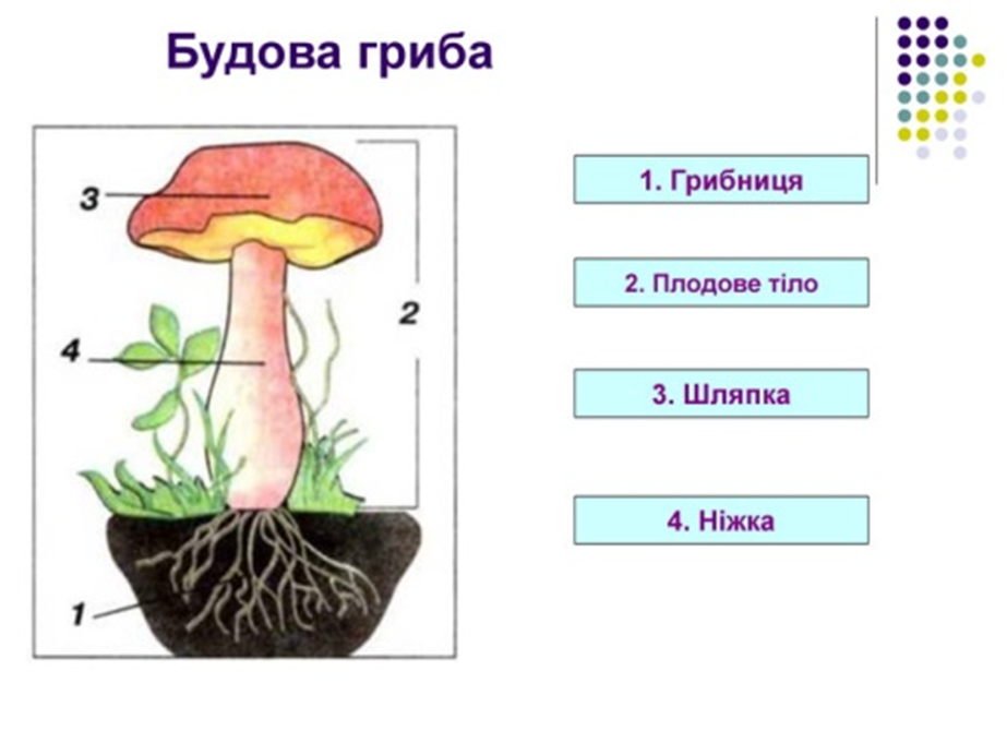 0300mhnw-d2f8-923x692.png