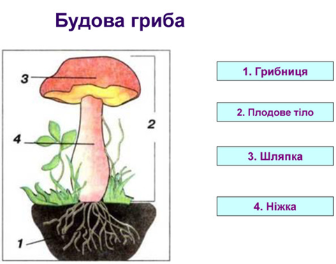 0300mhtm-69ab-481x378.png