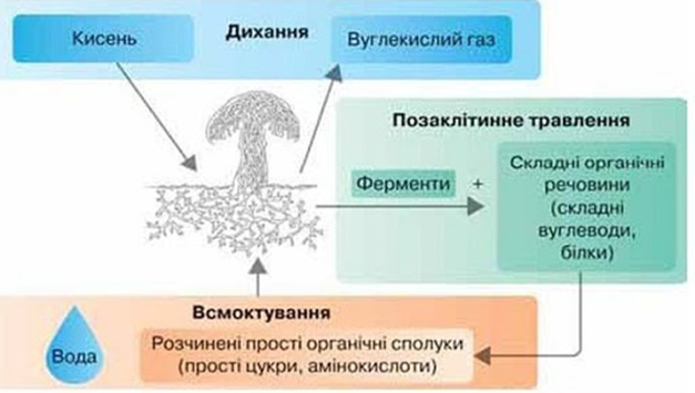0300mhto-2d40-627x355.png
