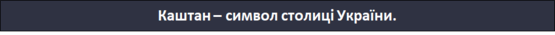 0300mkky-0db0-555x35.png