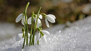 Good bye, Winter! Hello, Spring!