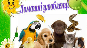 Домашні улюбленці.