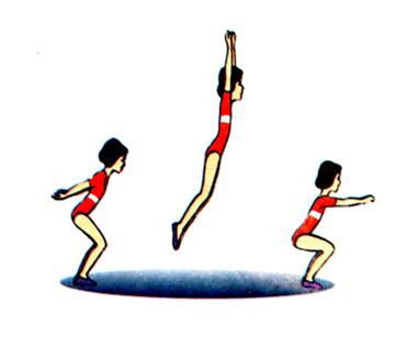 0300mq5z-1ff0-371x307.png