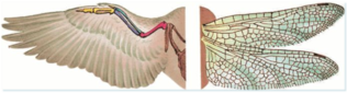 0300mqp7-c352-316x85.png