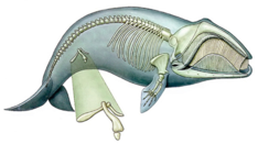 0300mqqv-f3a9-234x131.png