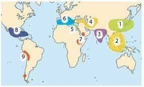 ЦЕНТРИ ПОХОДЖЕННЯ КУЛЬТУРНИХ РОСЛИН » Biology/Биология/Біологія