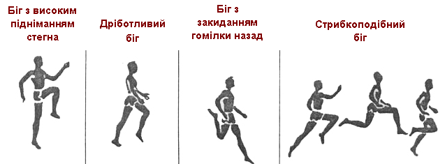 https://disted.edu.vn.ua/media/images/asia/atletika_7/legka_7rik.files/image001.png