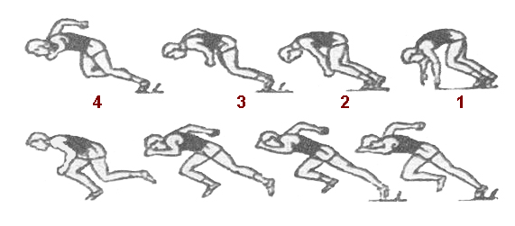 https://disted.edu.vn.ua/media/images/asia/atletika_7/legka_7rik.files/image003.png