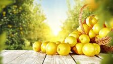 The Untold Truth Of Lemons