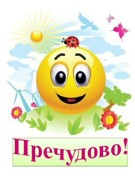 0300mszf-4cc2-447x596.jpg