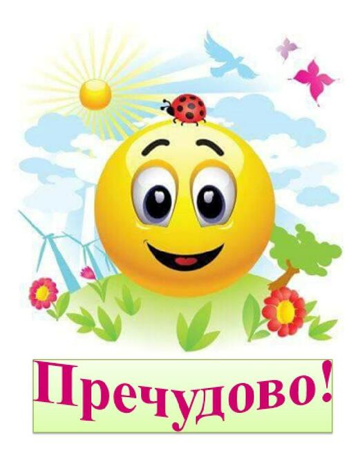 0300mt4c-378c-508x678.jpg