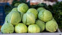 Fact-check: Do cabbages spread Covid-19? | Deccan Herald
