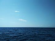 0300n1lm-6898-179x134.jpg