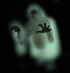 0300n2fe-7f67-231x240.jpg