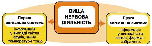 0300n2sl-23e7-499x151.jpg