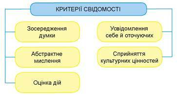 0300n2ub-5243-363x195.jpg
