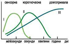0300n37p-b756-330x208.jpg