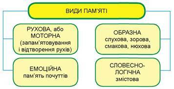 0300n3b3-ab96-356x184.jpg