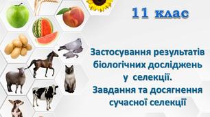 Презентація з теми "Застосування  результатів біологічних досліджень  у селекції. Завдання та досягнення сучасної селекції"