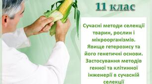 Презентація з теми "Сучасні методи селекції тварин, рослин і мікроорганізмів. Явище гетерозису та його генетичні основи"