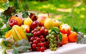 0300n4yf-031d-290x183.jpg