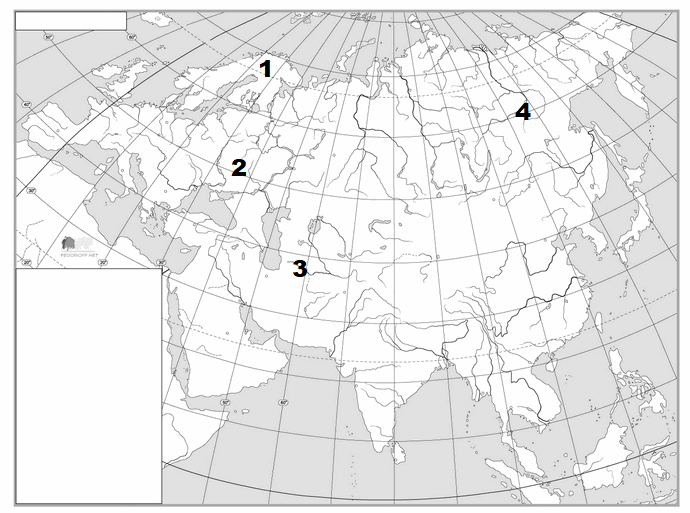 0300n5li-af0a-690x513.png