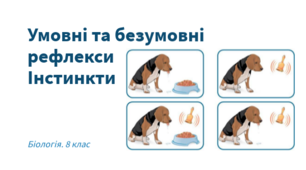 Безумовні та умовні рефлекси