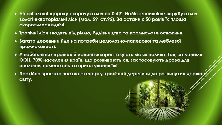 0300n6p6-8158-940x529.jpg