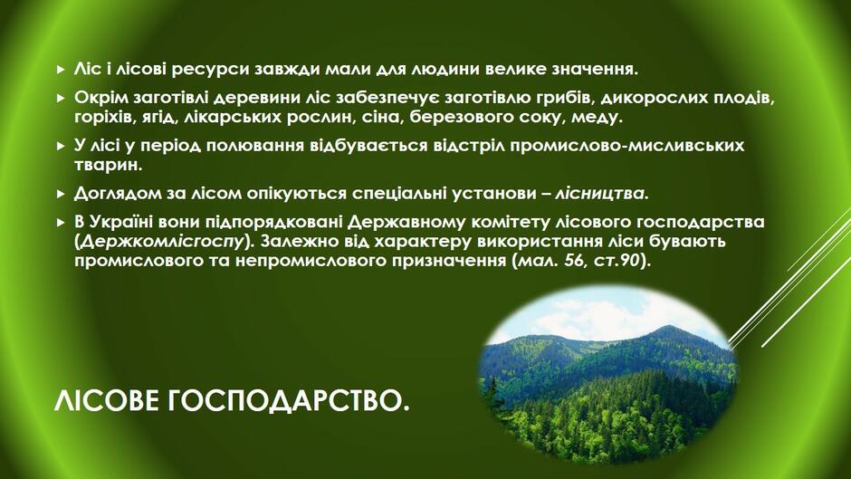 0300n6pg-f53d-940x529.jpg