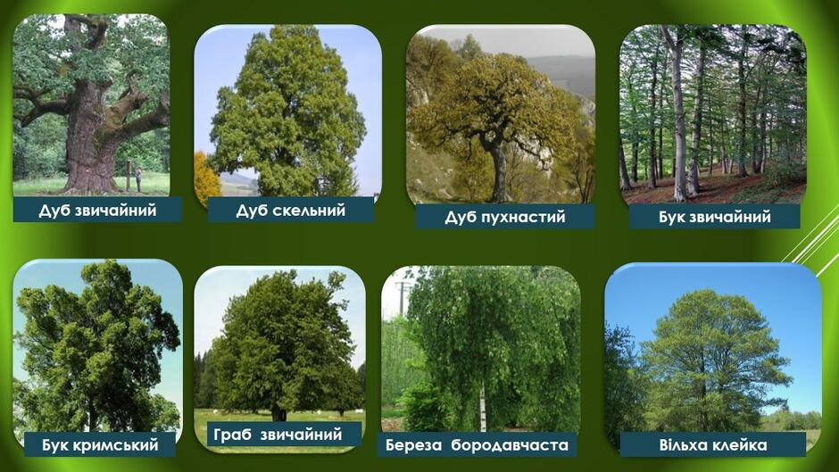 0300n6pk-5e2b-940x529.jpg